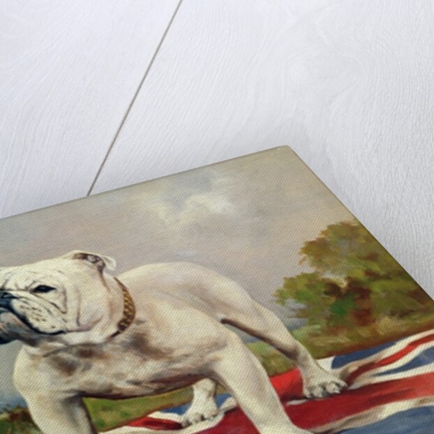 British Bulldog by English School
