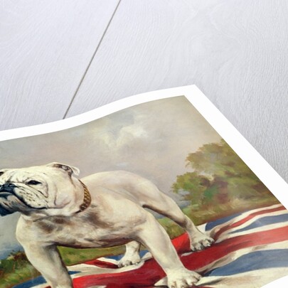British Bulldog by English School