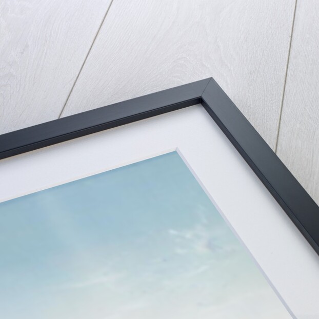 Naples from Mergellina by P. Lapira