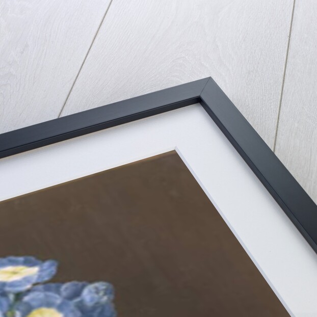 Primula Auricula with Moth by Margaretha Barbara Dietzsch