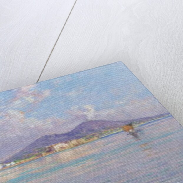 Naples, from Mergellina by Giuseppe Carelli