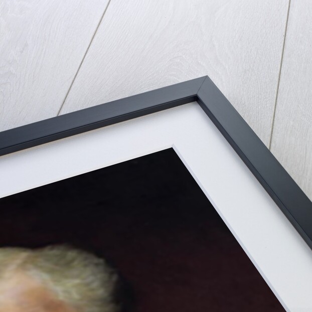 Portrait of Sir Alfred Waterhouse, 1891 by Lawrence Alma-Tadema