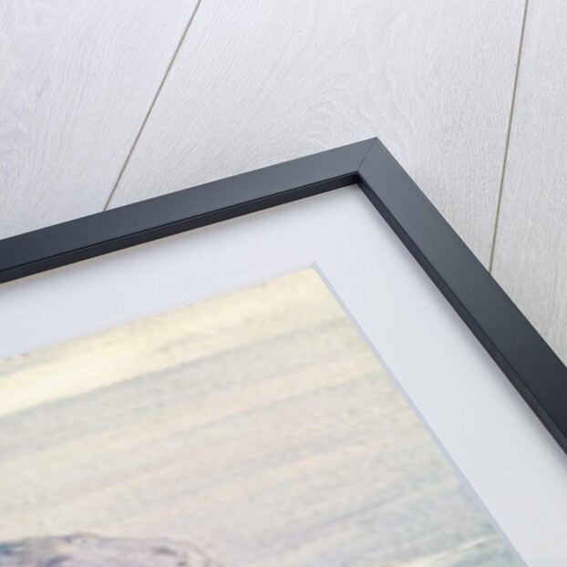 `Eza', 1864 by Edward Lear