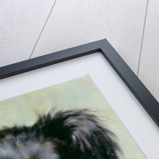 A Black and Tan Collie, 1890 by Robert Morley