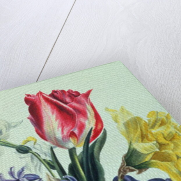 Spring Flowers, 1815 by Anne Hooke