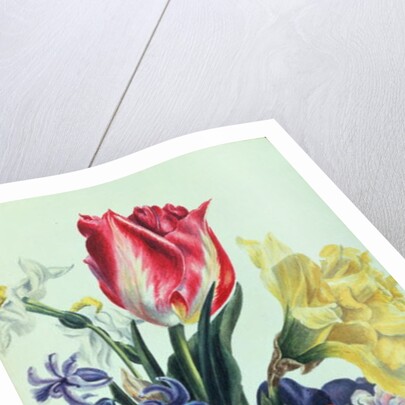 Spring Flowers, 1815 by Anne Hooke