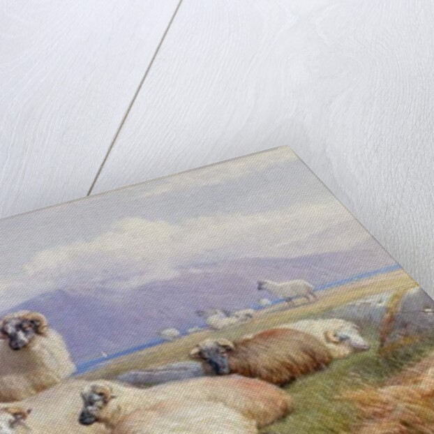 In the Heart of the Highlands by Henry Brittan Willis