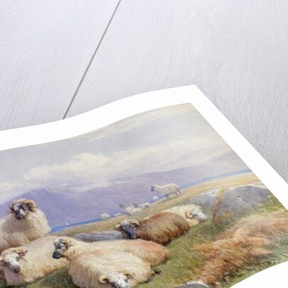 In the Heart of the Highlands by Henry Brittan Willis