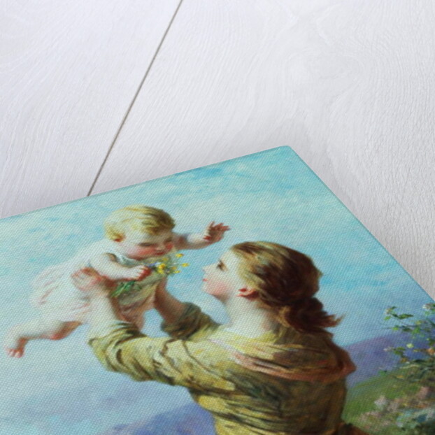 She looks and looks, and still with new delight by James John Hill