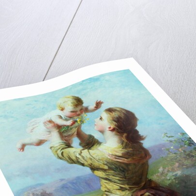 She looks and looks, and still with new delight by James John Hill