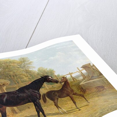 Levity, the property of J.C.Cockerill Esq., with her foal Queen Elizabeth, the property of Lord Dorchester, 1843 by John Frederick Herring Snr