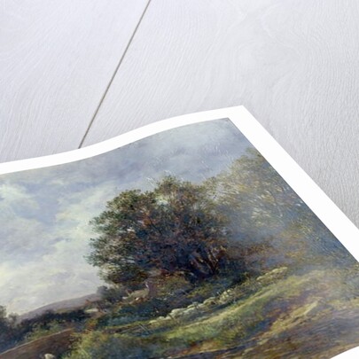 Sheep Washing - West Malvern, 1899 by David Bates