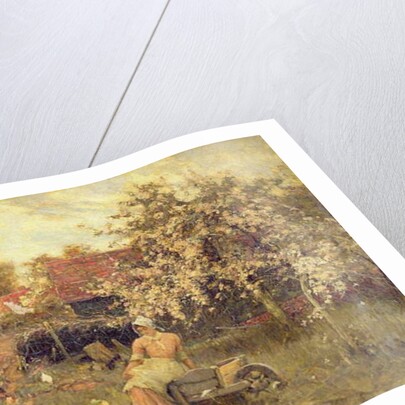 In the Orchard by Harold Waite