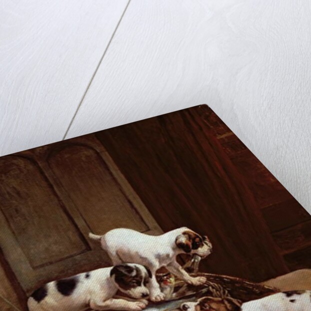 Tomorrow will be Friday by John Hayes