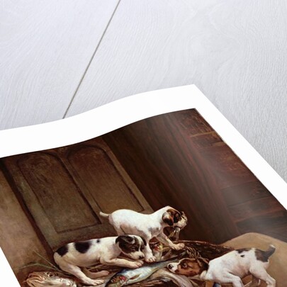 Tomorrow will be Friday by John Hayes