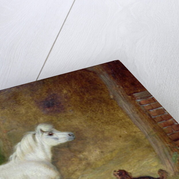 A Shetland pony and a King Charles spaniel by Martin Theodore Ward