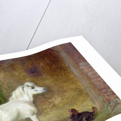 A Shetland pony and a King Charles spaniel by Martin Theodore Ward