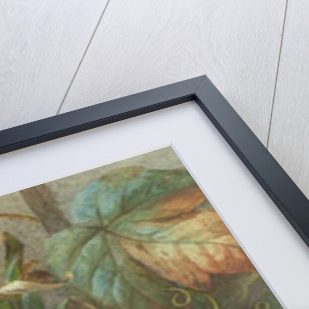 Still Life of a Pineapple and Grapes by Charles H. Slater