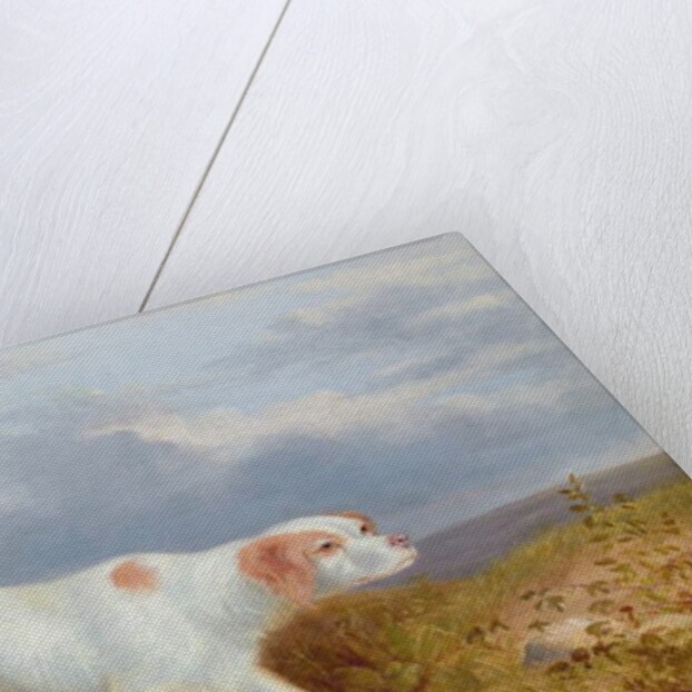 A Setter on the Moor by Philip Reinagle