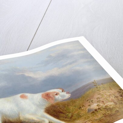 A Setter on the Moor by Philip Reinagle