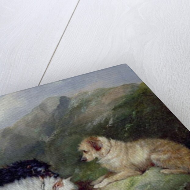 Terriers Rabbiting by George Armfield