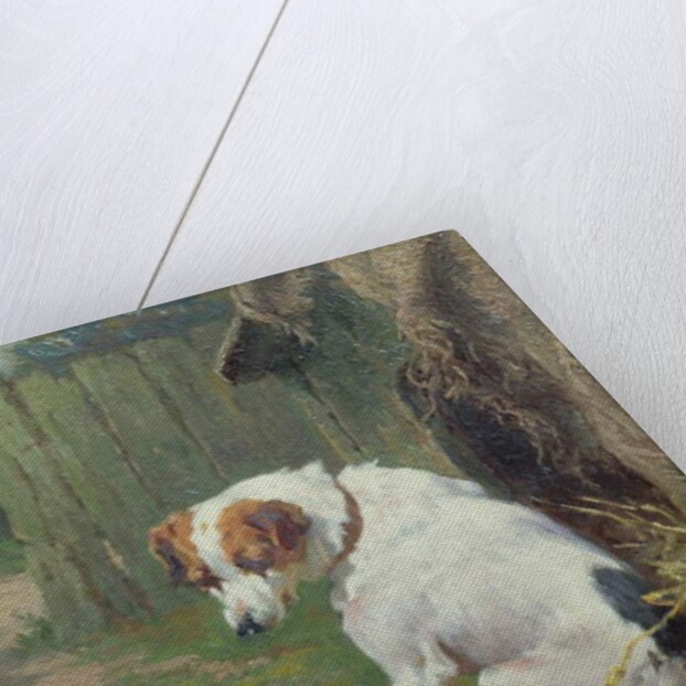 A Welcome Visitor by George Augustus Holmes