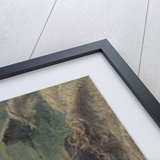 A Welcome Visitor by George Augustus Holmes