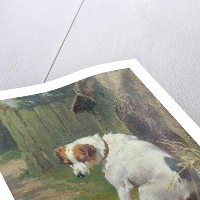 A Welcome Visitor by George Augustus Holmes