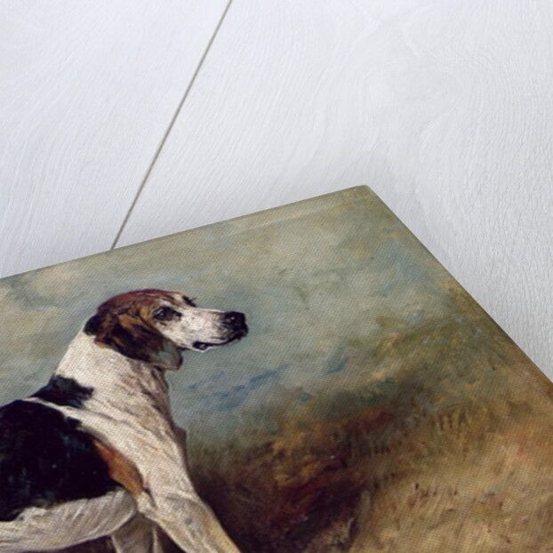 Moonstone, 1895 by John Emms