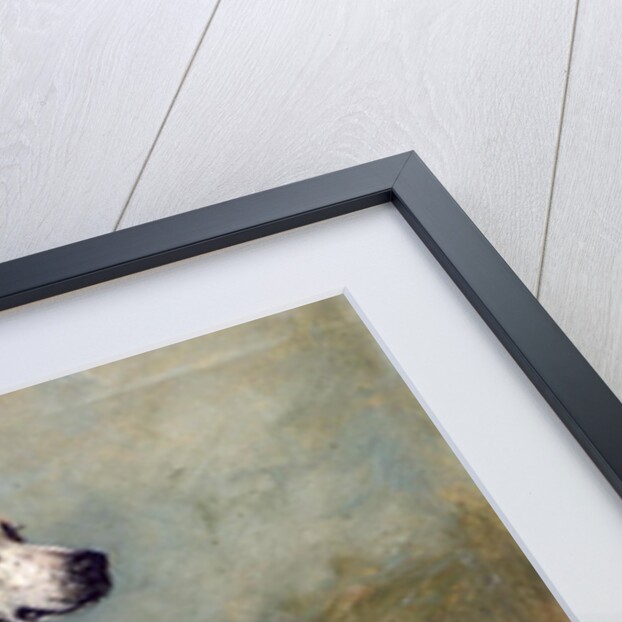 Moonstone, 1895 by John Emms