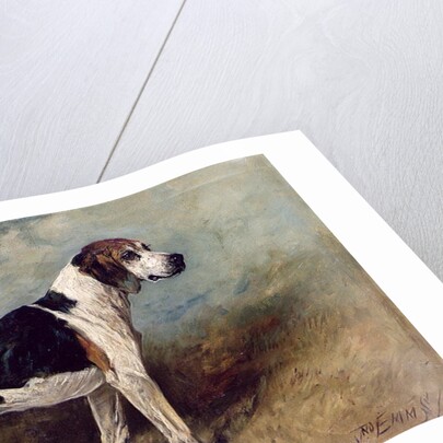 Moonstone, 1895 by John Emms