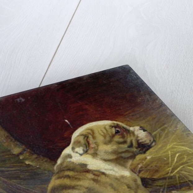 Give a Dog a Bone, 1888 by William Henry Hamilton Trood