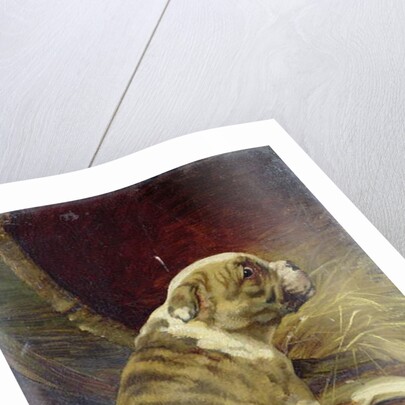 Give a Dog a Bone, 1888 by William Henry Hamilton Trood