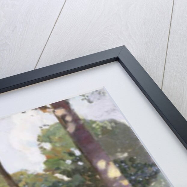 Trees in sunlight by Harry Watson