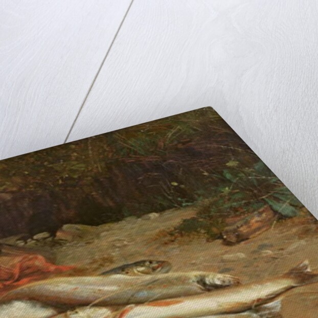 Brown trout on a river bank by William Geddes