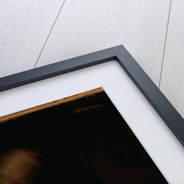 Study of a Woman in Red, early 1890s by Jean-Jacques Henner