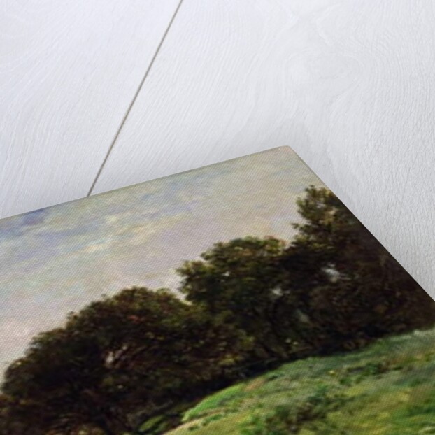 The Coast of Villerville, 1875 by Charles Francois Daubigny