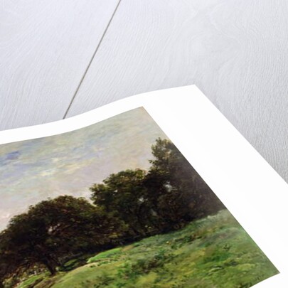 The Coast of Villerville, 1875 by Charles Francois Daubigny