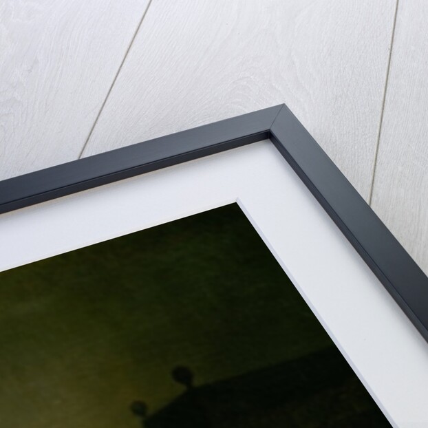 The Glass of Lemonade by Gerard ter Borch or Terborch