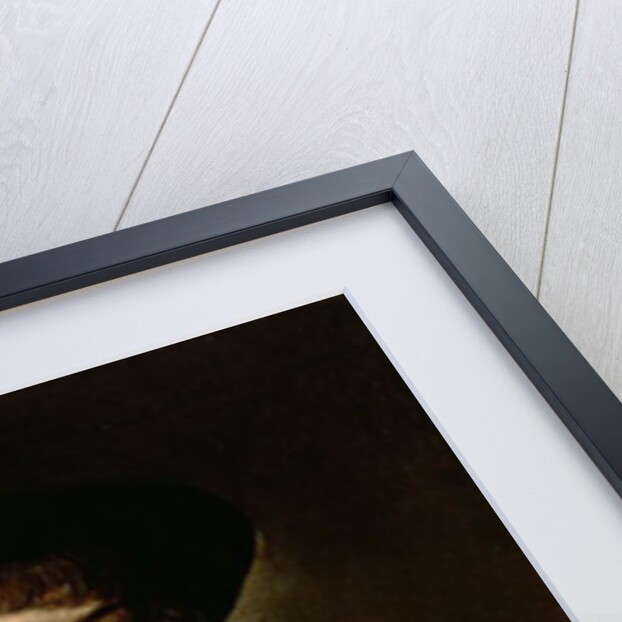 Portrait of a Young Man with a Glove, c.1640 by Frans Hals