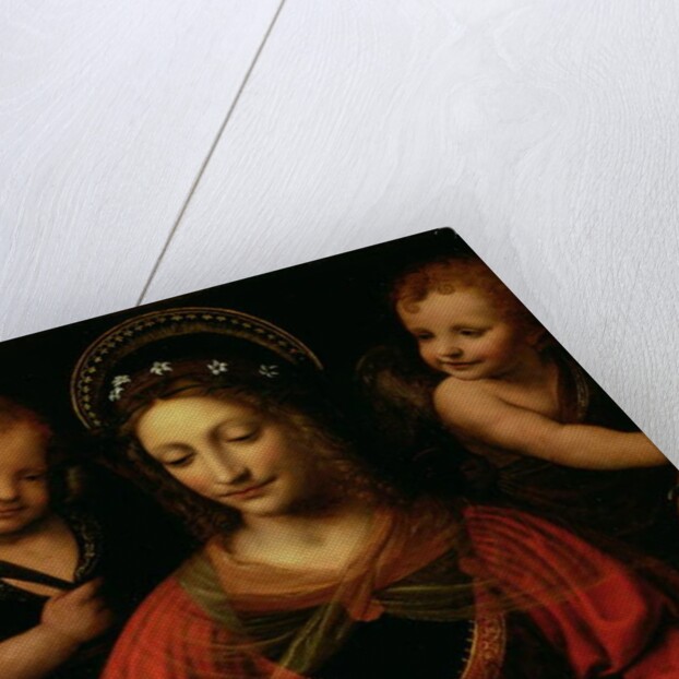 St. Catherine, 1527-31 by Bernardino Luini