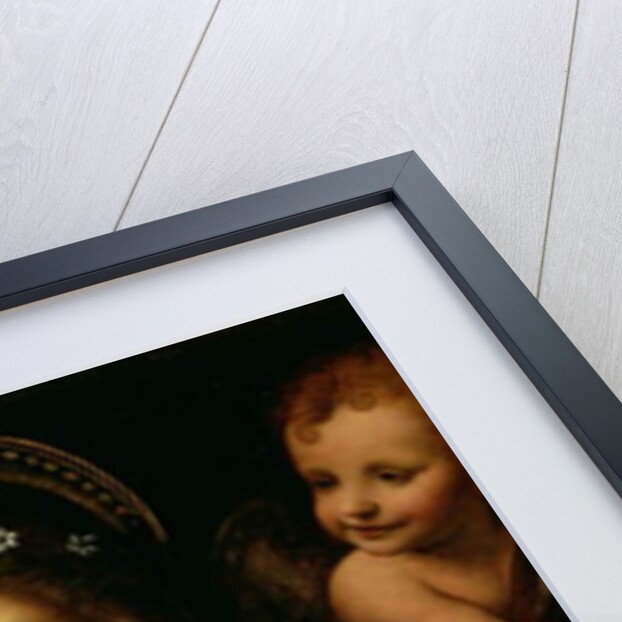 St. Catherine, 1527-31 by Bernardino Luini