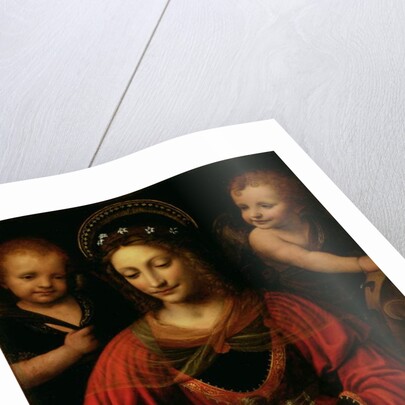 St. Catherine, 1527-31 by Bernardino Luini