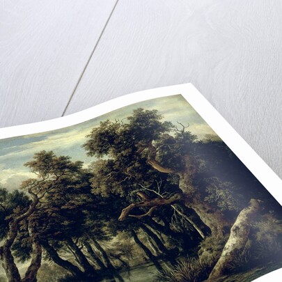 Landscape with an Oak, 1634 by Jan Josephsz van Goyen