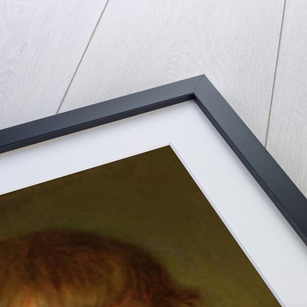 Portrait of Count Stroganov as a Child, 1778 by Jean Baptiste Greuze