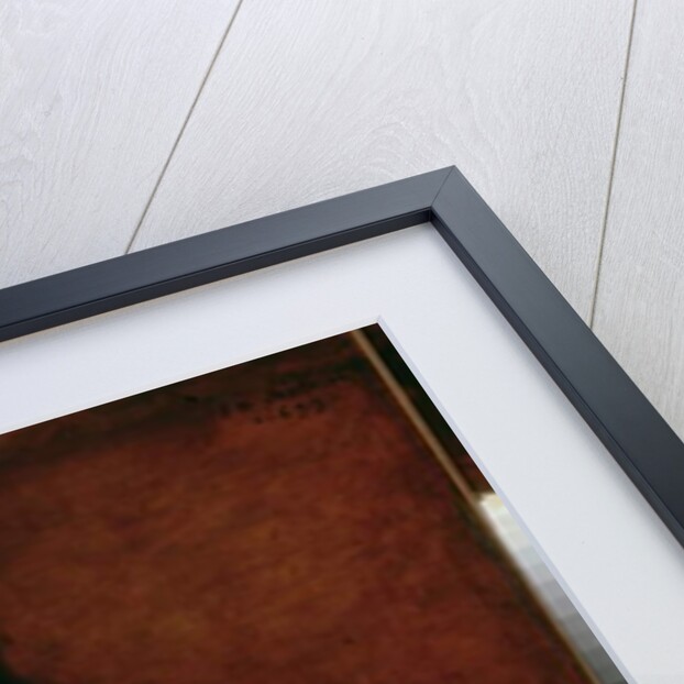 Young Woman Wearing a Shawl, 1699 by Jean Baptiste Santerre