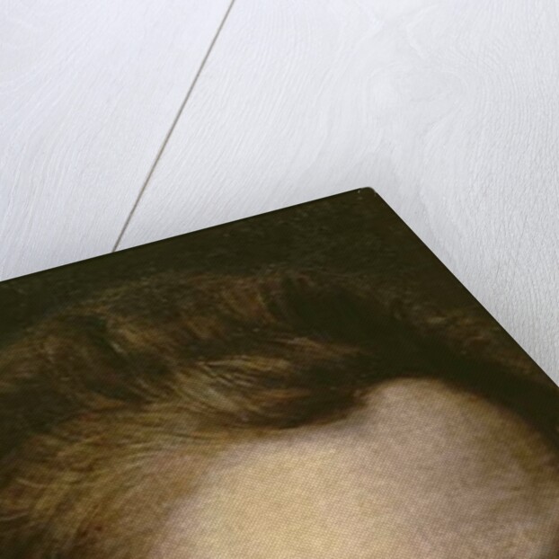 Portrait of a Youth, c.1570-75 by or Dumoustier Pierre Dumonstier