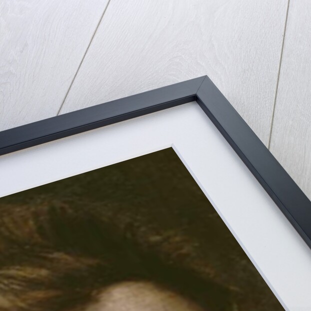 Portrait of a Youth, c.1570-75 by or Dumoustier Pierre Dumonstier