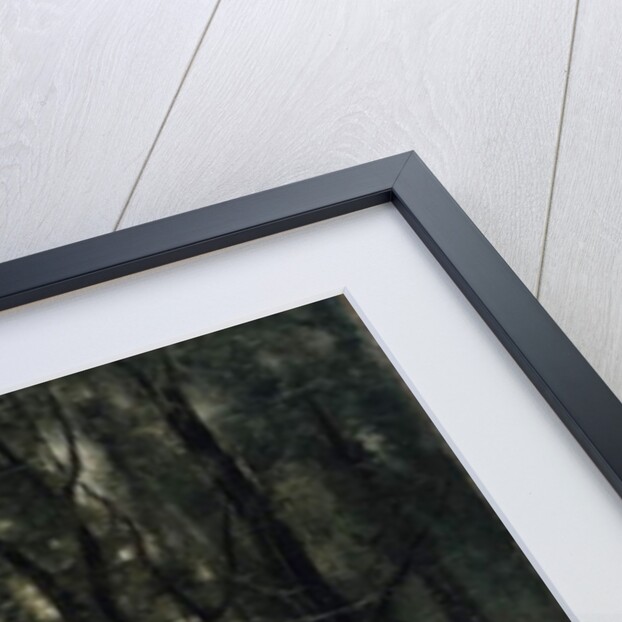 Landscape with a Lake, 1860-73 by Jean Baptiste Camille Corot