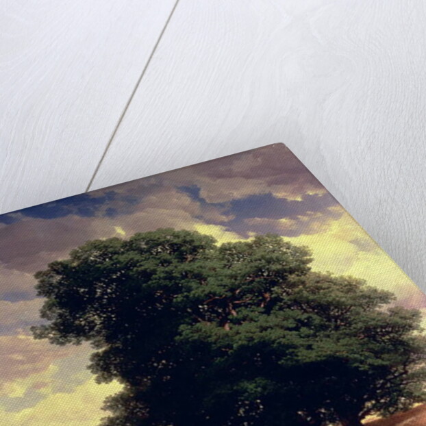 Landscape with Oaks, 1859 by Alexandre Calame